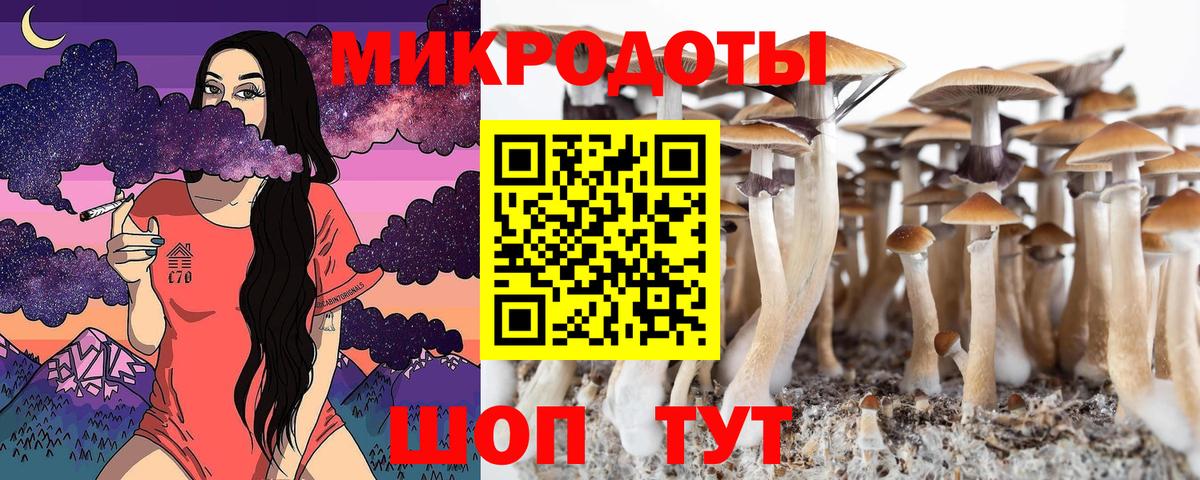 наркота  Псилоцибиновые грибы MAGIC MUSHROOMS  Вход с VPN  Пугачёв 
