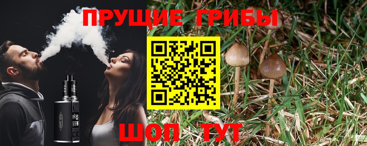 Галлюциногенные грибы GOLDEN TEACHER Пугачёв